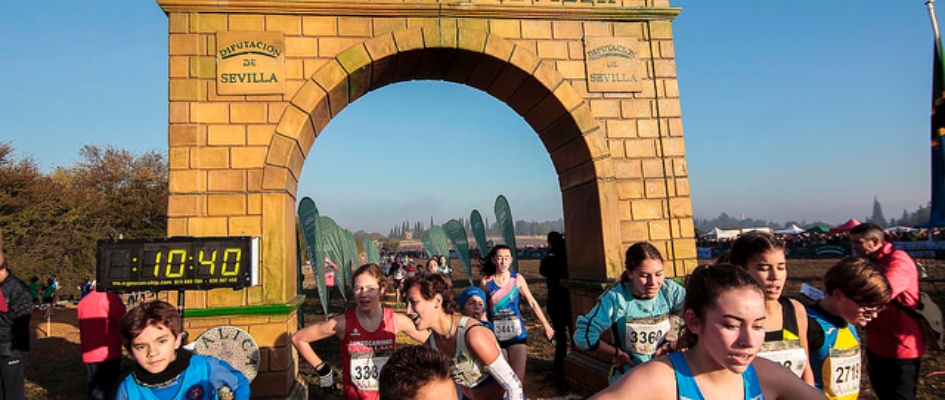 39869258031_f72410c5e1_z