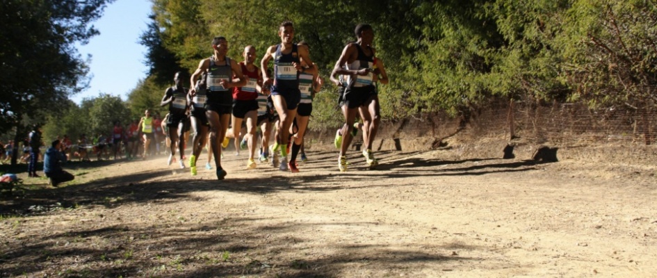 cabecera1.jpg_1866364357